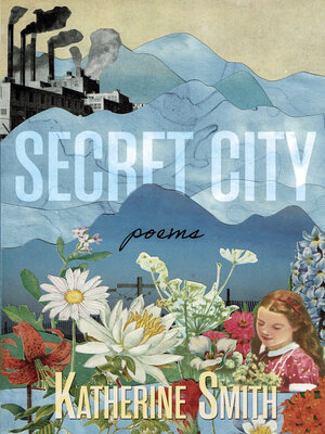 cover image of Secret City